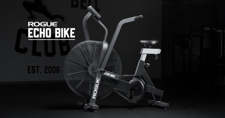 assault bike rogue echo